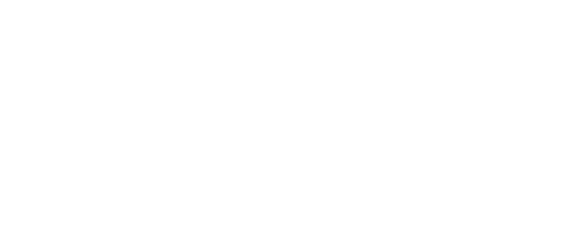 Boreal Defence White Logo