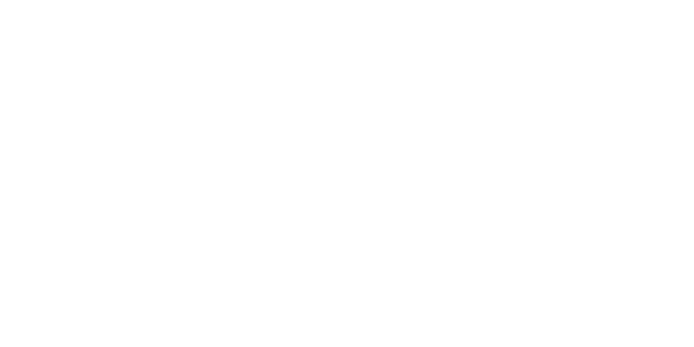 Boreal Defence Transparent Logo 